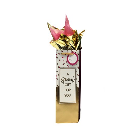 BG-09-1 Special Gift Pink & Blue w/ Hot Foil Stamp Bottle Gift Bags 