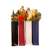 BG-31-1 Single Bottle Gift Bags side view 